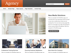 Agency base theme